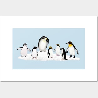 Antarctic Penguins Posters and Art